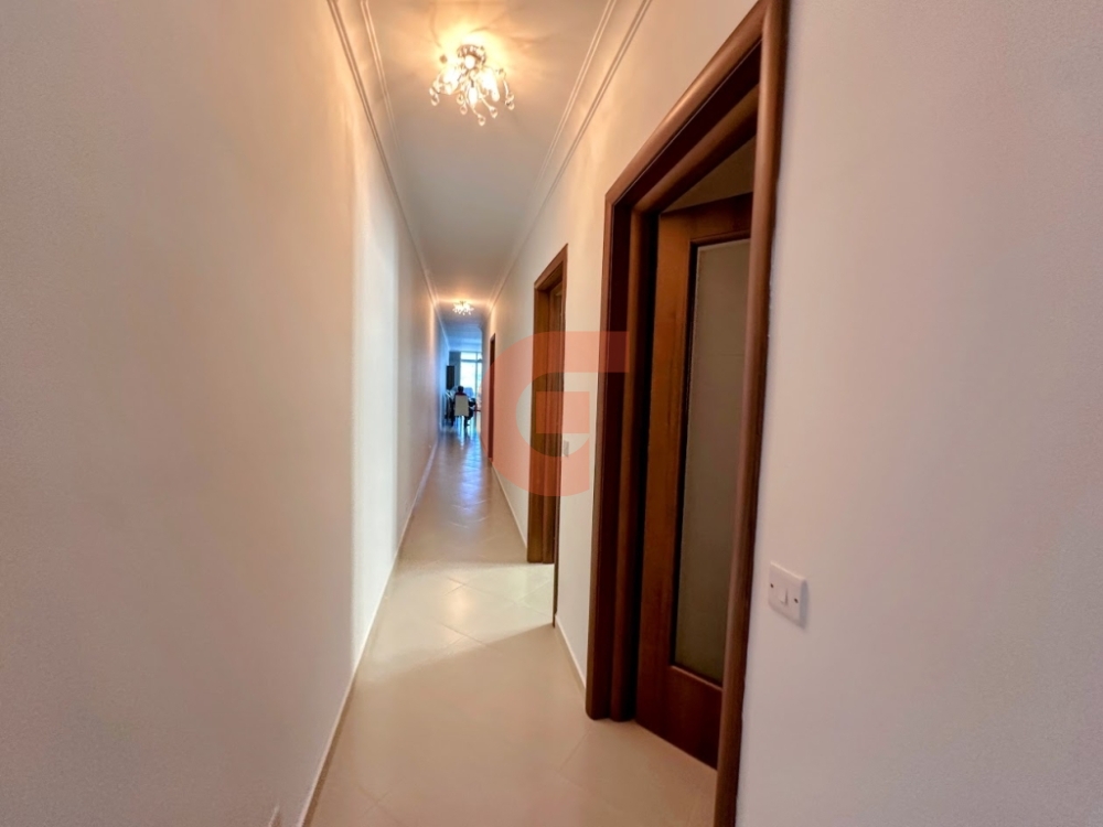 IMG_4246-EDIT IMG_4246-EDIT