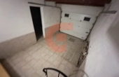 IMG_0351